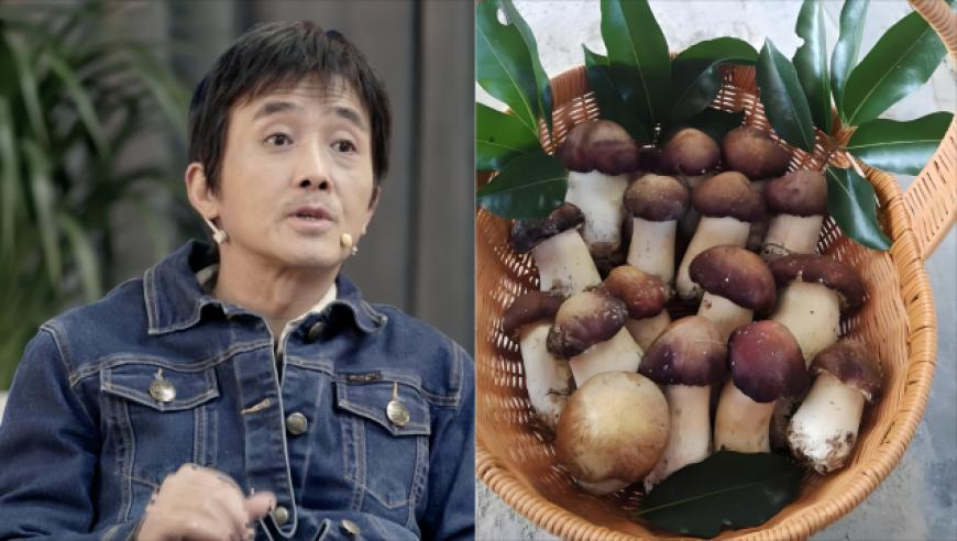 澳门六免费资料网站大全,一张机票的事不要再wait,决策资料解释落实_铂金版V7.37
