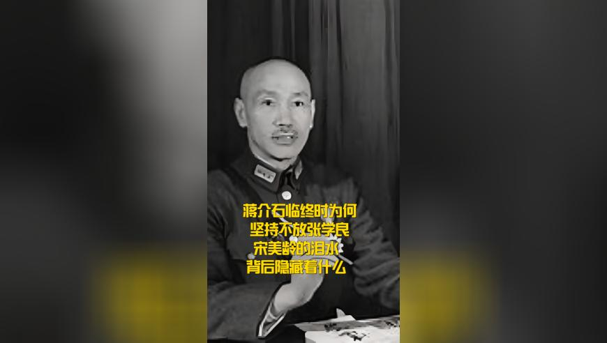 2025今晚澳门开特马下载,王家卫藏了25年的镜头,最佳精选解释落实_免费版V5.61