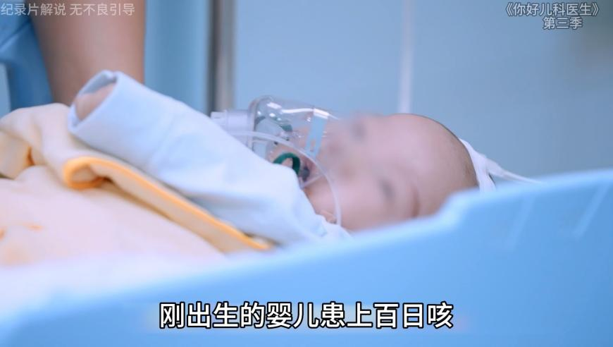 章子怡说杨子太吓人了,管家婆平特一肖大公开图片,国产化作答解释落实_网红版V5.60