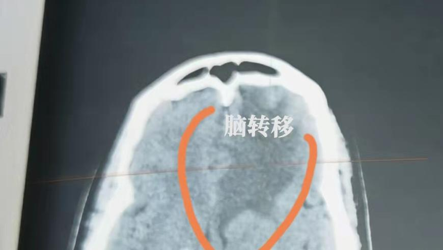 张碧晨唱哪吒片尾曲的含金量,2025澳门正版管家婆资料大全新澳,完美答案解释落实_游戏版V1.28