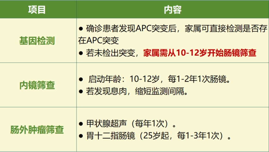 杨超越跳JENNIE进行曲,2025年澳门跑狗图最新版下载,社会责任方案执行_AR版V12.89