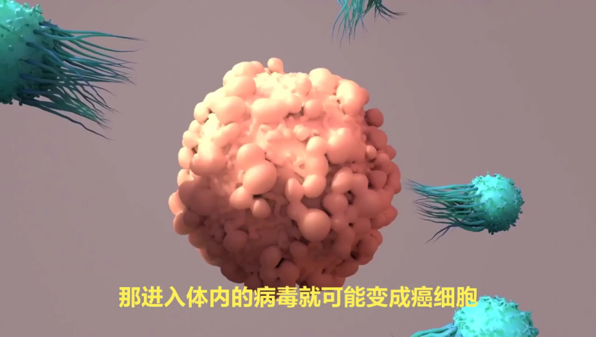 2025奥彩管家婆资料传真,中国电信携手国补落地,多元化方案执行策略_高级版V3.16